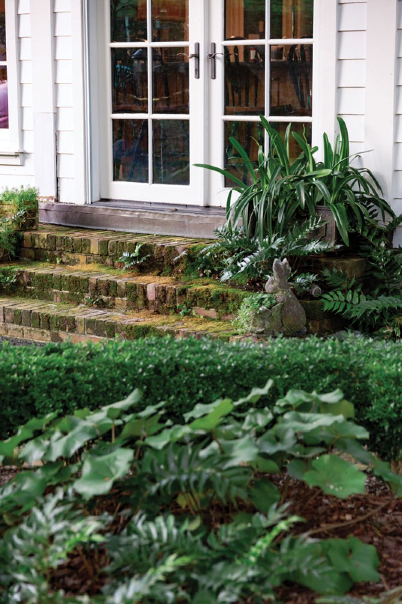 Moss-covered steps lead from the kitchen down to the back patio.