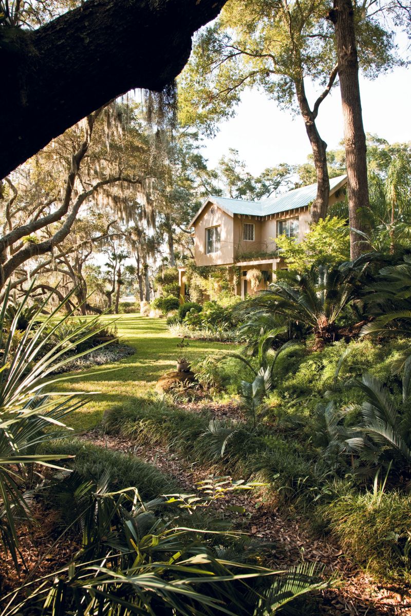 Green way: A view of the verdant woodland garden toward the marsh at the back of the property.