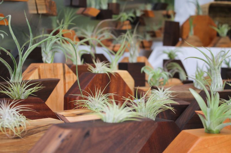 Restored Board brought over 100 geometric air plant containers and magnets made from reclaimed wood.