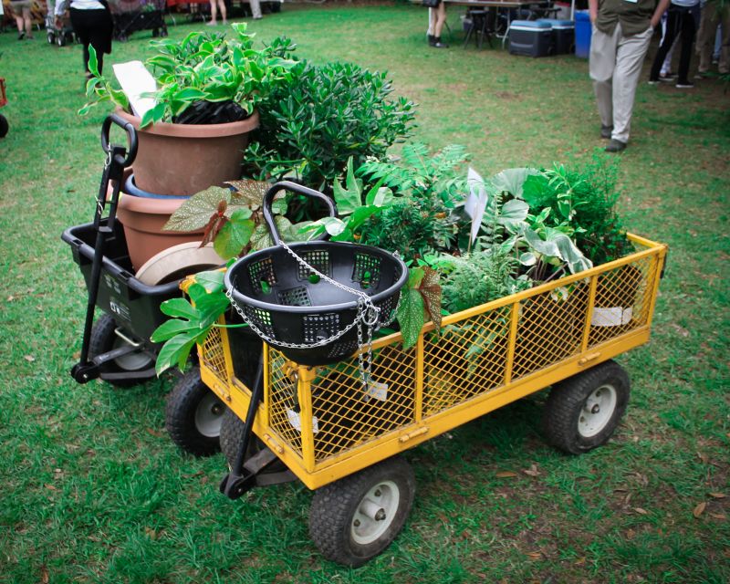 Old Towne Creek County Park was the perfect venue for guests to peruse local plant offerings. Guests either brought their own wagons, or used the ones supplied for easy transport.