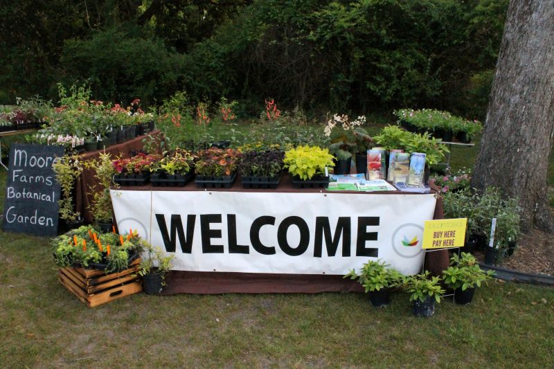 Attendees were welcomed into a plant lover&#039;s paradise.