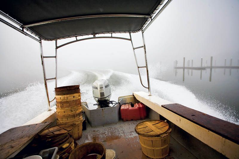 “The Watermen” (November 2009)