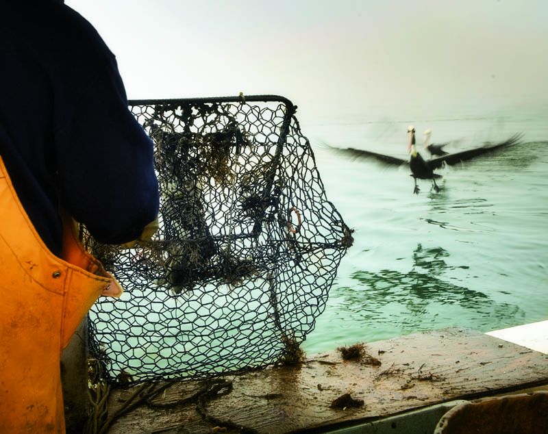 “The Watermen” (November 2009)