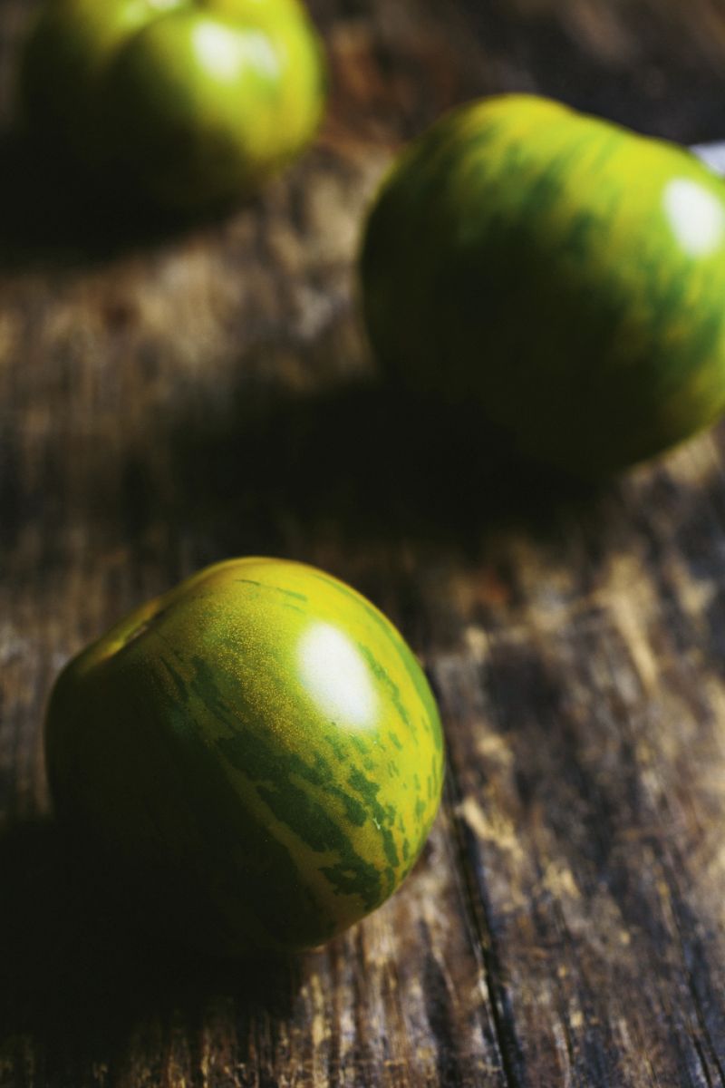 Green Zebra
