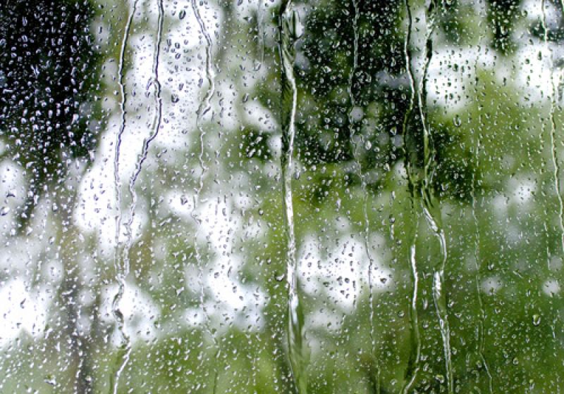 Rain dripping down the bus window.