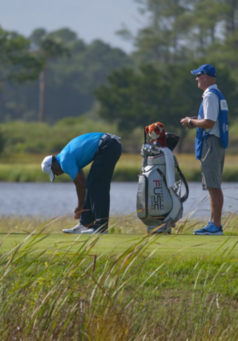 Tiger lacing up for a battle with the wind.