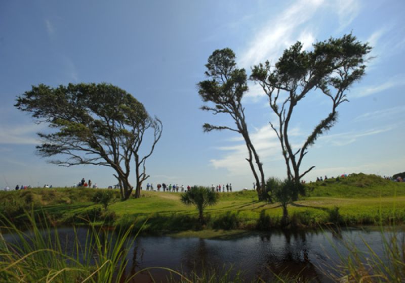 Spectators and the beautiful trees of the front nine.