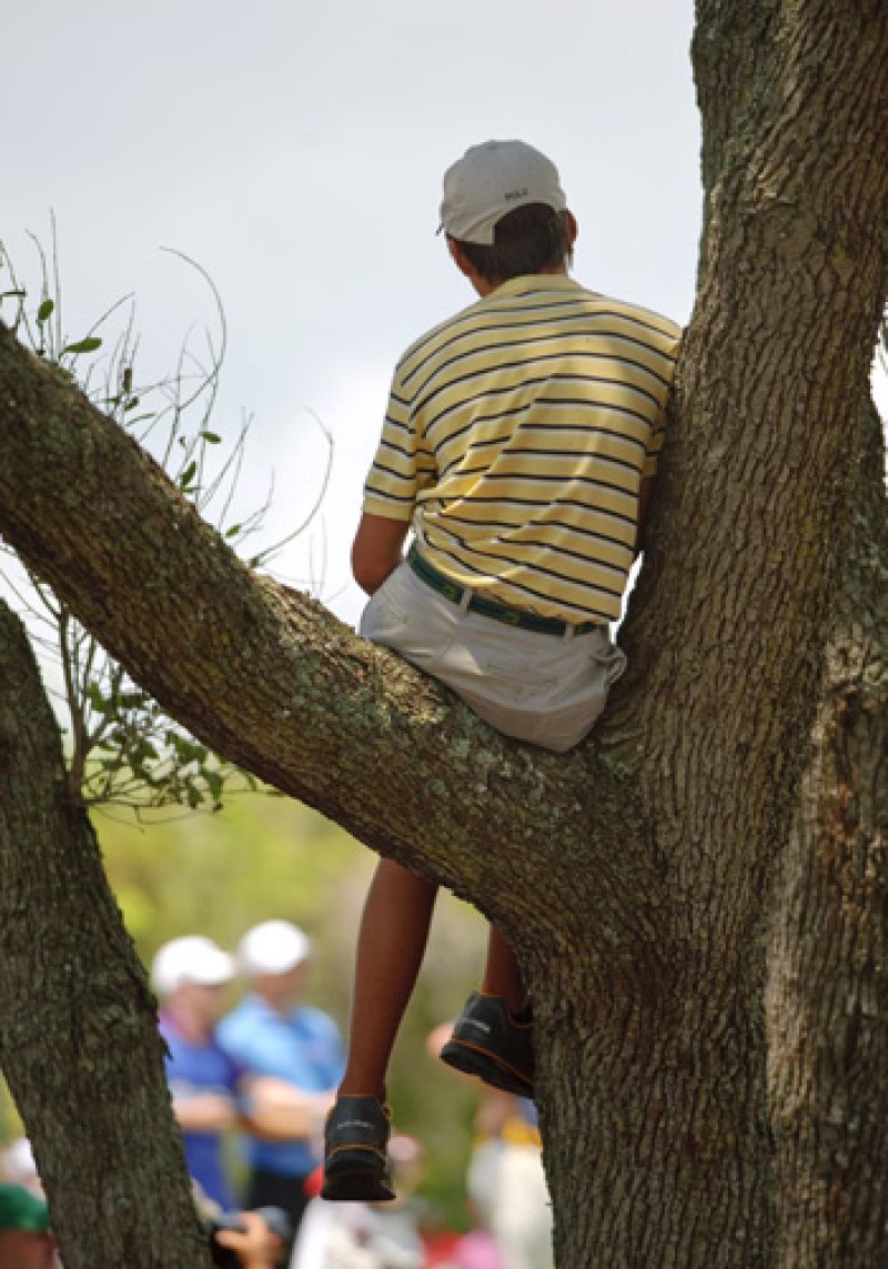 A great view of the first tee and a little shade.