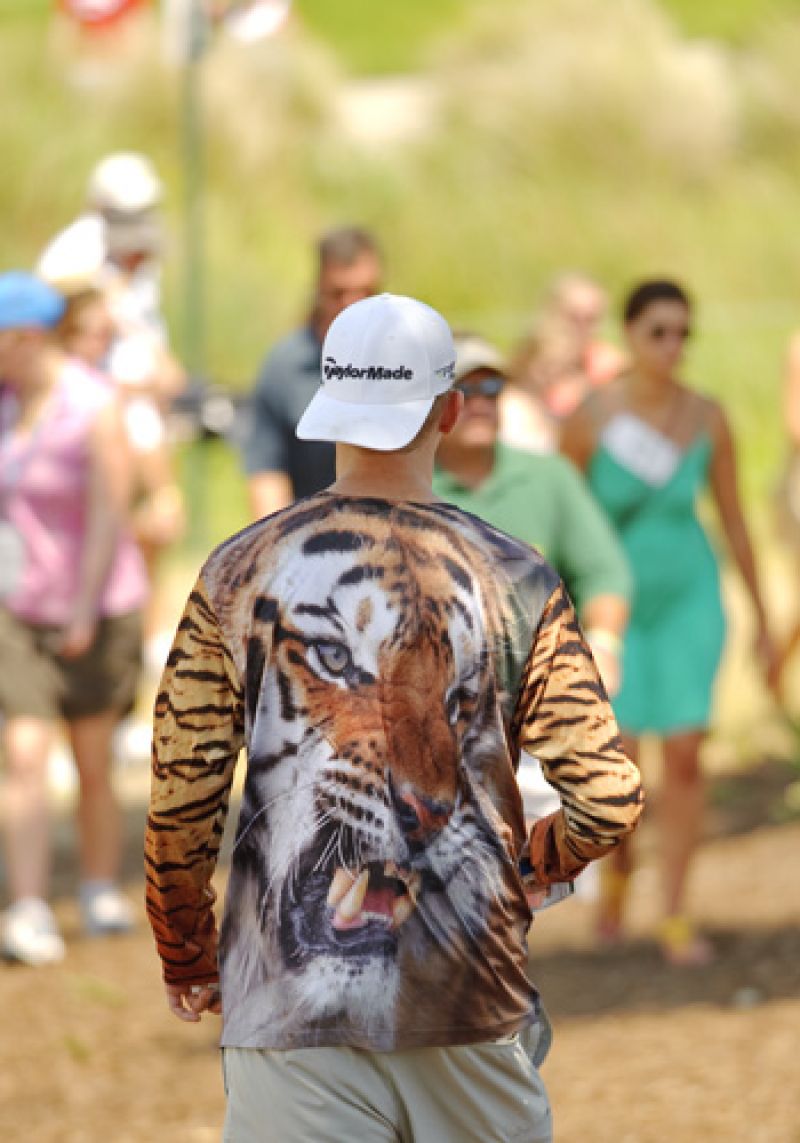 Another tiger heading for the front nine.