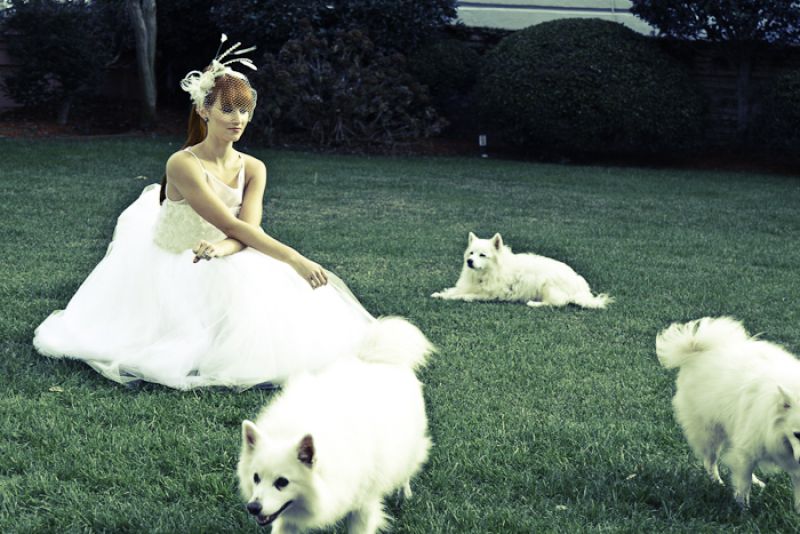 Model Devon; Palmer Home pups Rocky, Sasha, and Sarah