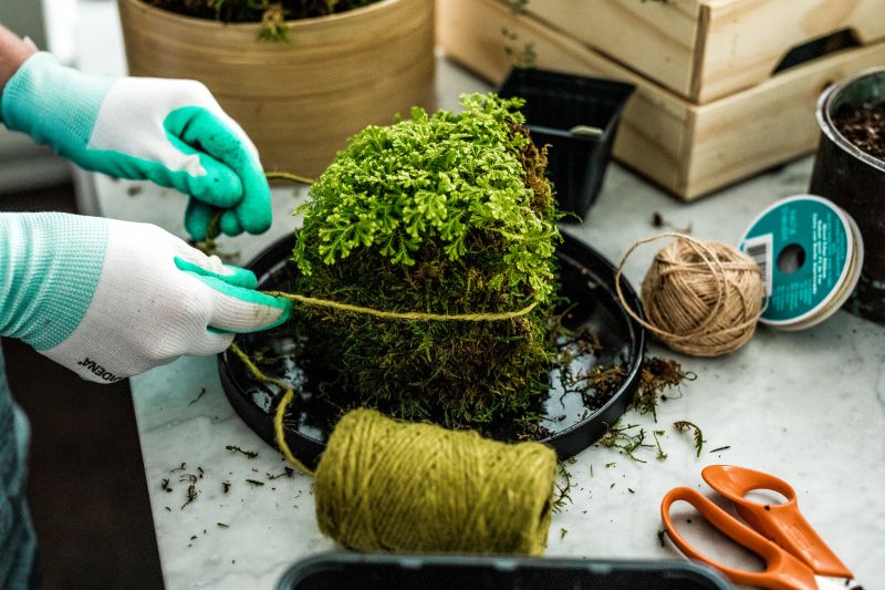 Use twine to tie the moss in place.