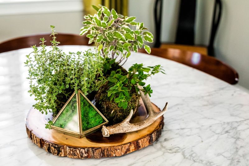 Grow kitchen herbs in moss balls, and use them to create a table centerpiece.