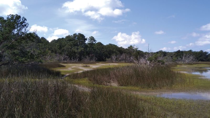 Marsh Aire Preserve, 52 acres that protect habitats for wildlife and provide scenic views.