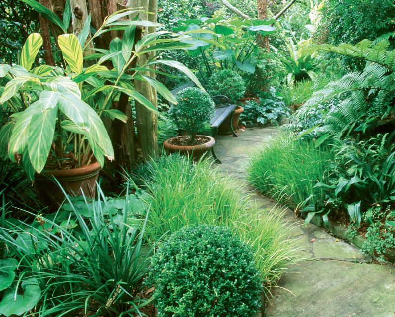 NATURE’S PATH: Patti revitalized the Ansonborough garden, originally designed in 1968 by renowned landscape architect Loutrel Briggs, and layered in many new varietals in a range of textures. Here, a stone path leads to one of its shaded seating areas; photo by Virginia Weiler
