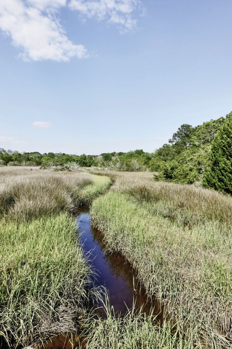 Edisto Island