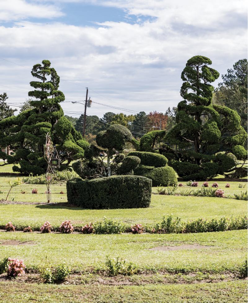 “I never set out to make topiary. I’d never even heard the word till years after I started. I just wanted to do something different.”