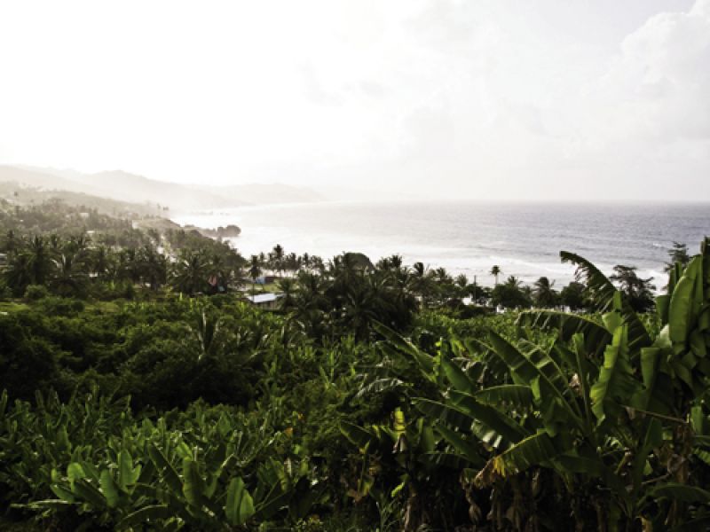 Barbados is hilly but not mountainous or volcanic, with its tallest peak, Mount Hillaby, at a mere 1,115 feet. High season runs from mid-November through April, while June to November are the rainiest months.