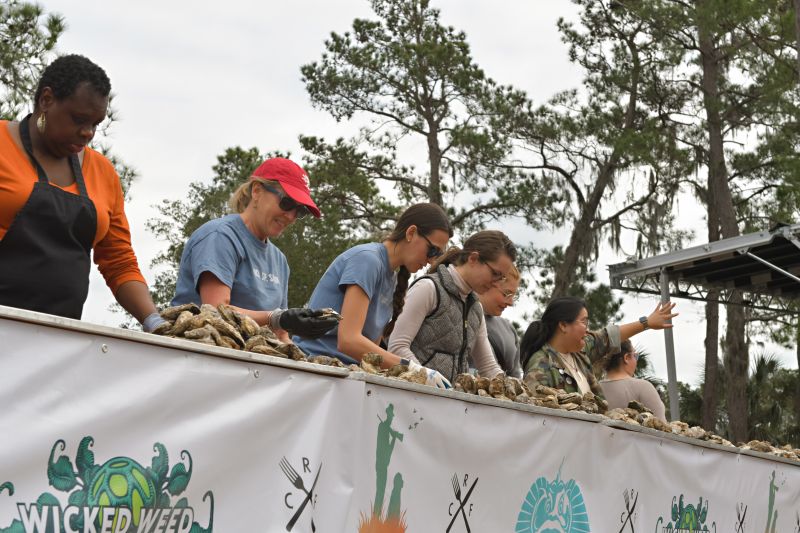 Competitors participate in the women’s oyster-shucking contest during the Lowcountry Oyster Festival.