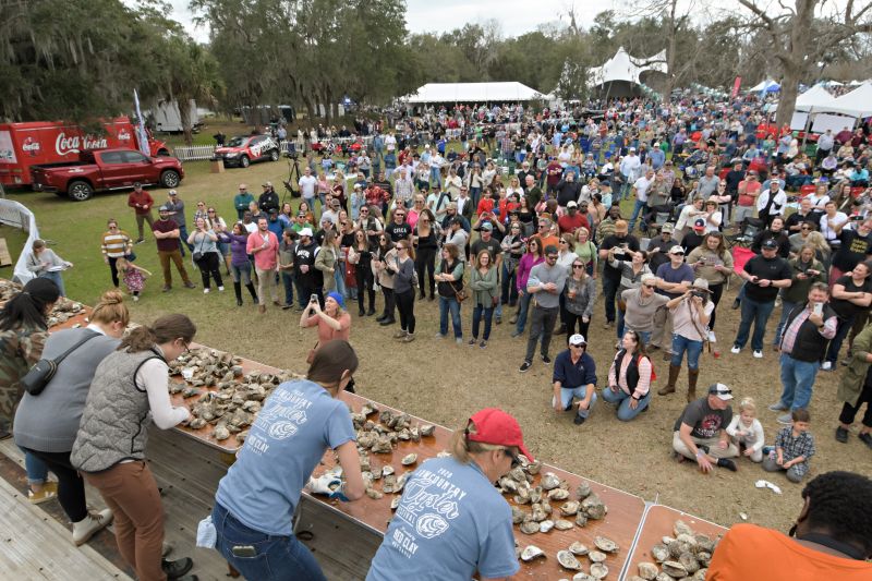 A lineup of pros compete in the women’s oyster-shucking contest during the Lowcountry Oyster Festival.