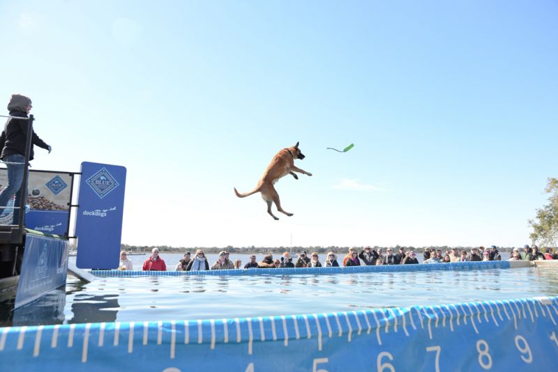 An almost catch!
