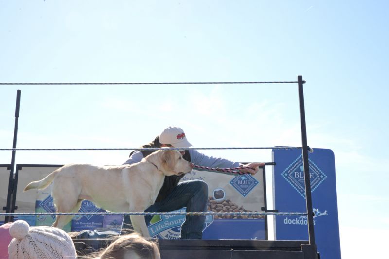 Handlers gave their dogs pep talks before they took to the water.