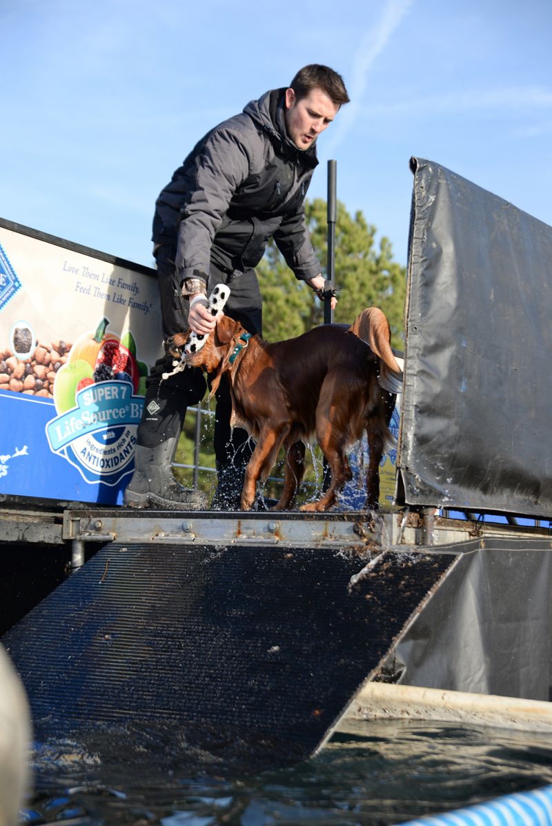 Each dog was given two chances to jump