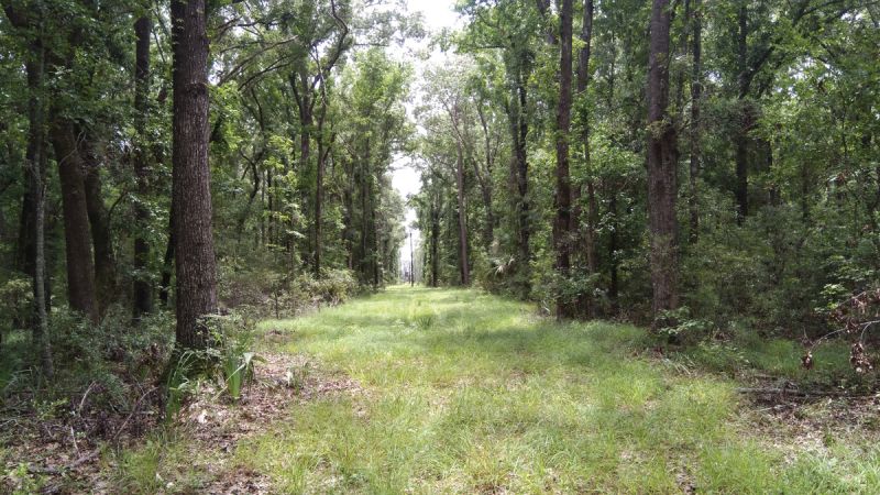 EIOLT protects the environment and a way of life through a combination of conservation easements and fee-simple properties, the latter of which are owned and maintained by the organization and are mostly open to the public; Russell Creek Road.