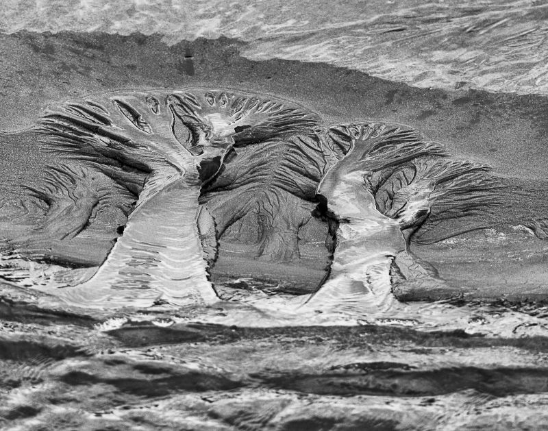 HONORABLE MENTION Amateur category: Sand Trail by Patricia Schaefer; “This is a capture of a very small  sand trail left as the tide receded. The image was taken at Seabrook Island on Augst 28, 2015 around noon. The viewer can decide what they see in the image.”