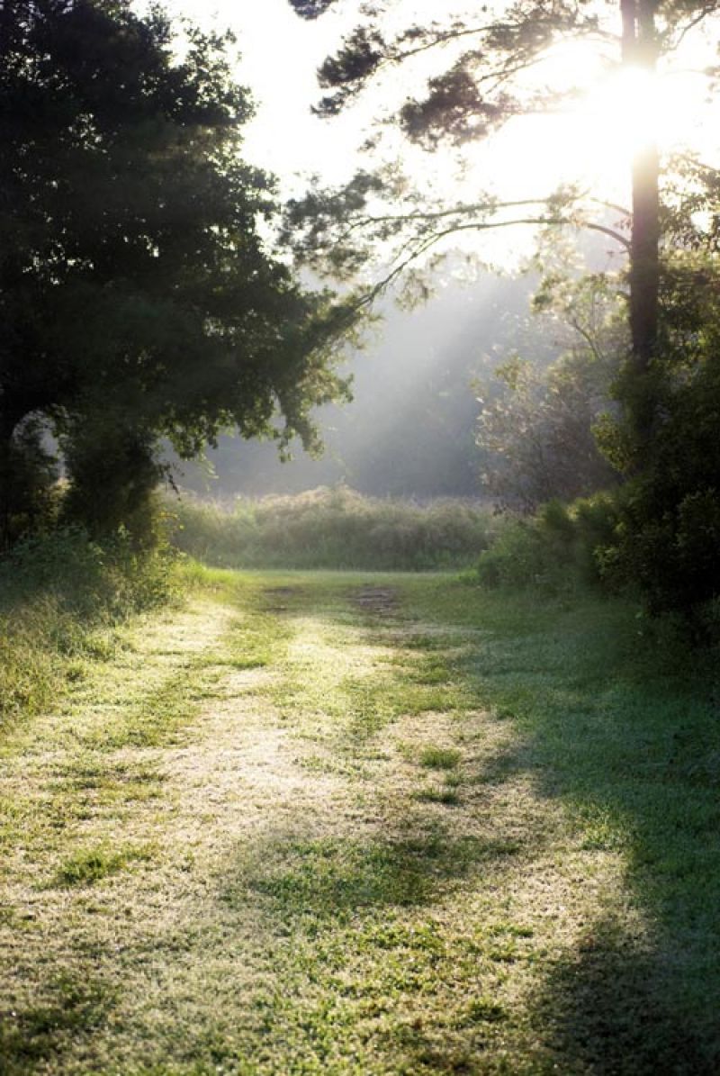 Photograph by Sarah Knowlton