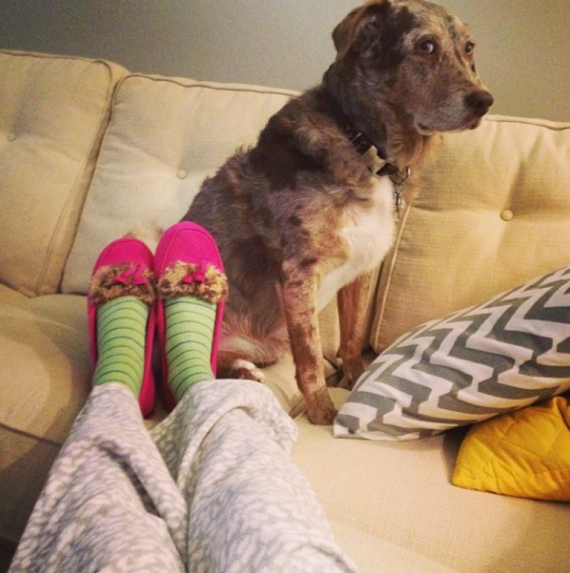 Digital Director, Rory Gruler&#039;s dog Kirra