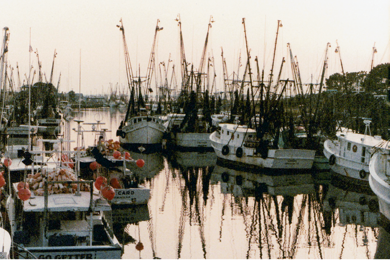 Shrimp boats several deep on the docks in the 1970s