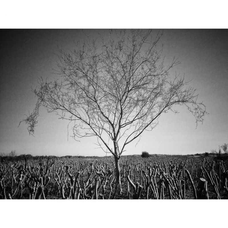 HONORABLE MENTION Professional category: A Winter Sunrise Over Mystery Stillness by Katelin Morales; “The second image of my Sullivan&#039;s Island infrared black and white collection. Shot on February 28, 2016 at approximately 9 a.m. with a Canon 6D.”