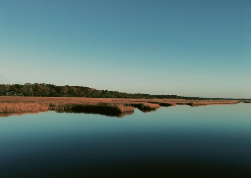 The Marsh by Lillie Sauls  {Amateur category} - A quiet moment on Rantowles Creek
