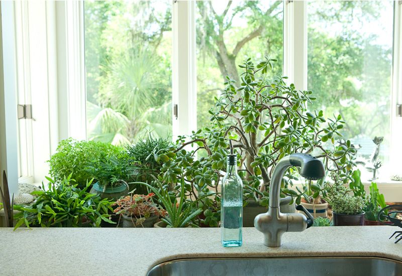 Photograph by Tim Moxley