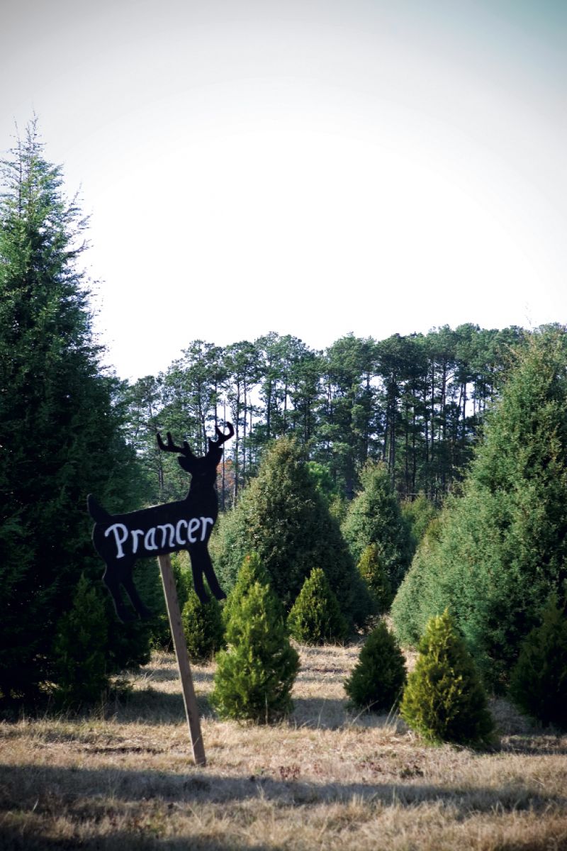 manned on weekends by Martha Walters’ father.