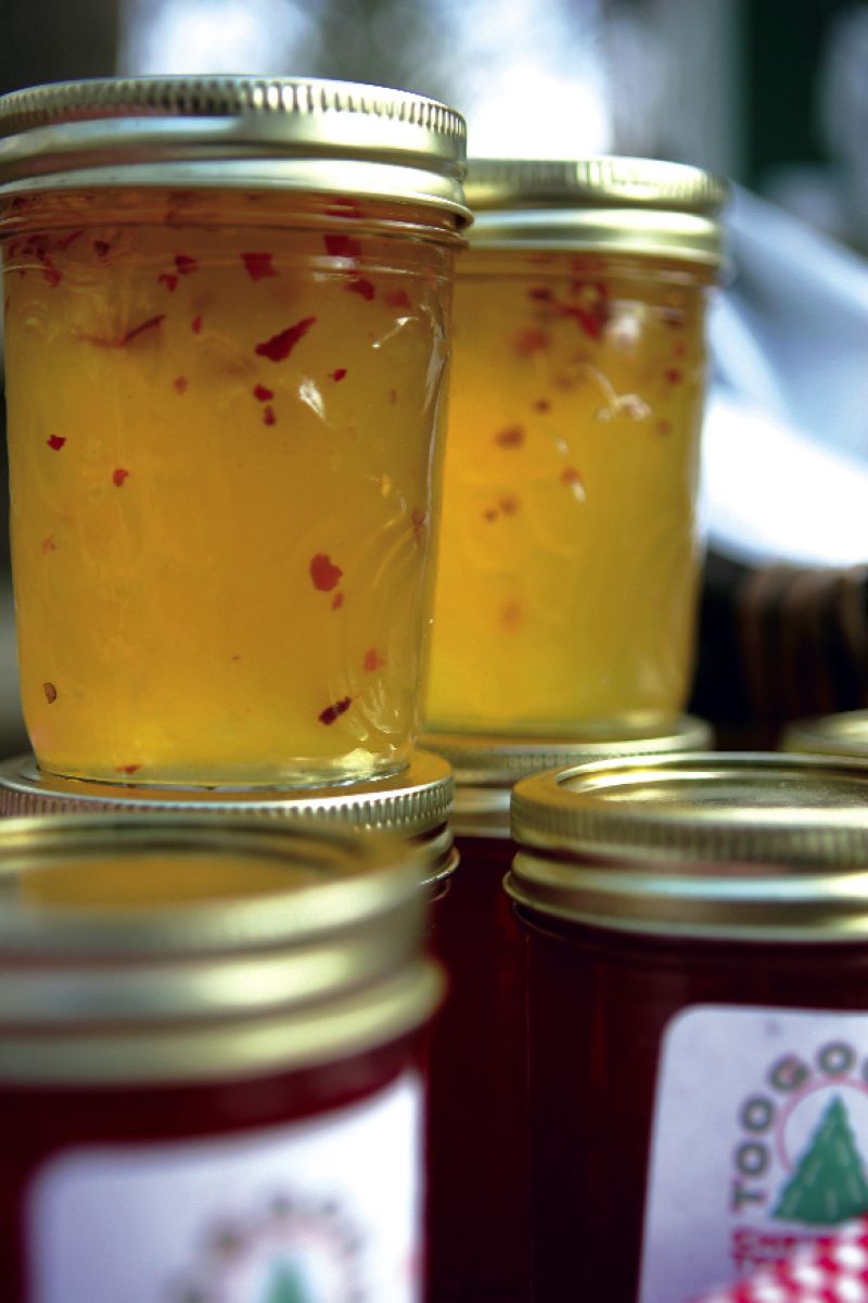 riding the choo choo