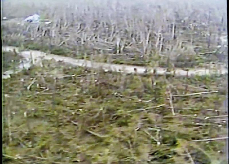 News 2 offered aerial shots of the area near Bulls Bay