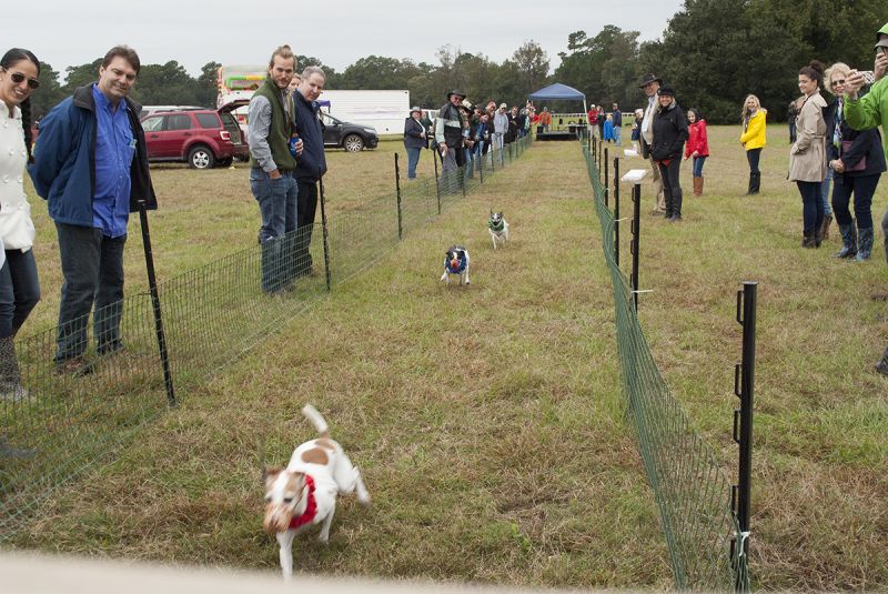 Obstacles made the course more challenging