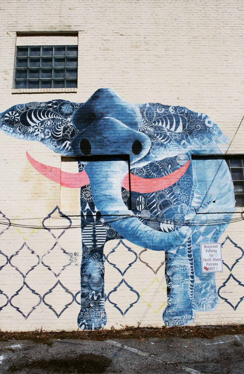 Untitled by Sarah Staub  December 2012  on Alycia Alley on the side of  Children’s Cancer Society Thrift Store (835 Savannah Hwy.)  It’s among the now more than two dozen ChART murals in the outdoor gallery first established in 2011 to “provide public outdoor space for artists to paint, play, and create.” Chart founder Geoff Richardson says the red tusks reference the ivory trade.