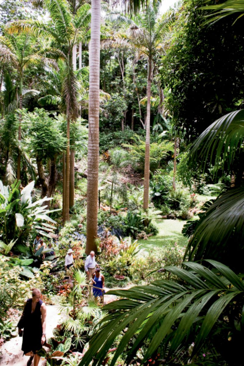 Once a tangle of refuse and vines, a gully in the island’s interior has been transformed by Barbadian Anthony Hunte.