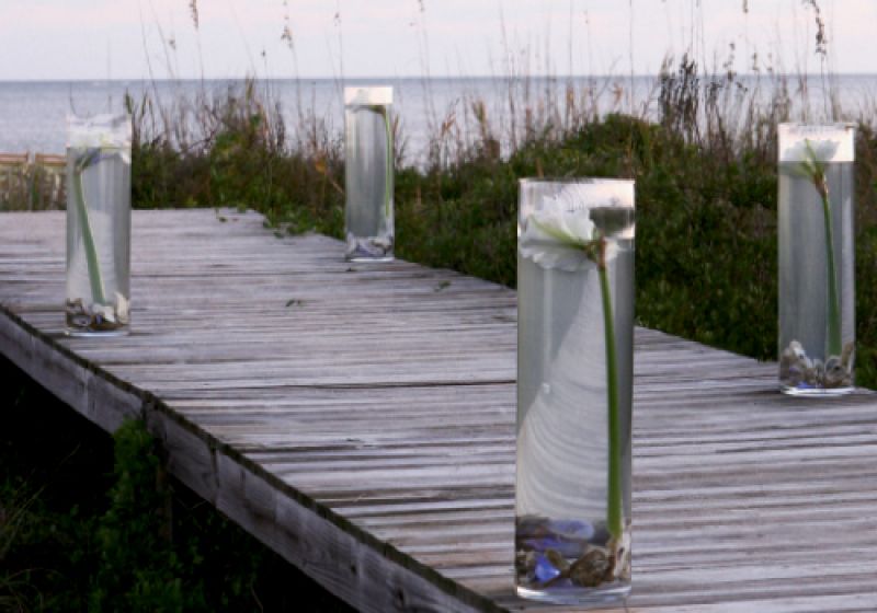 Justin Wham of J.W. Weddings and Events filled vases with oyster shells and single stems of amaryllis to subtly define the way to the ceremony site.