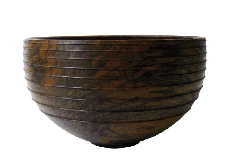 english_walnut_with_bea.jpg