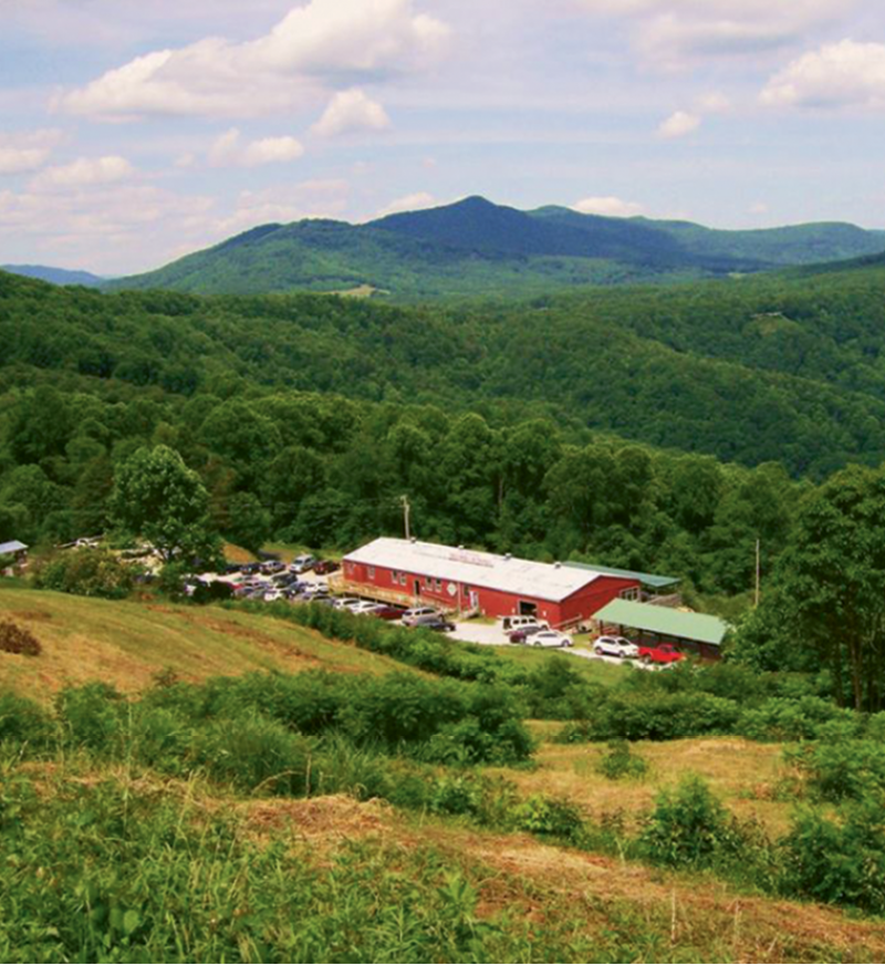 The Orchard at Altapass in Spruce Pine