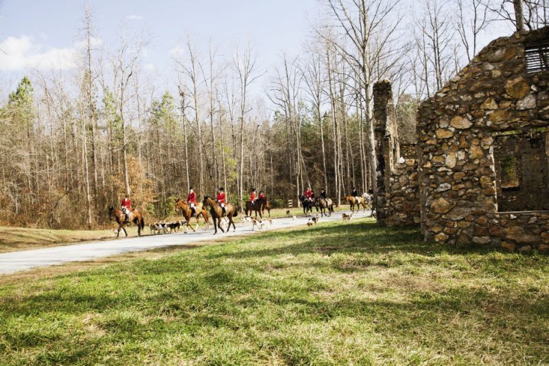 Hunt Country: “Any questions? All right then, let’s hunt!” declares the huntsman, and the 30 men and women on horseback begin their ride through the leaf-bare trees.