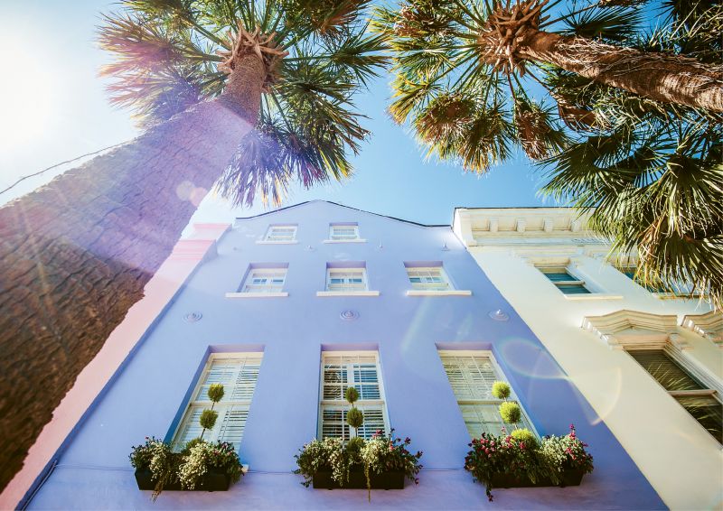 Purple haze by Pamela Oliveras  {Professional category} - Rainbow Row from a new angle