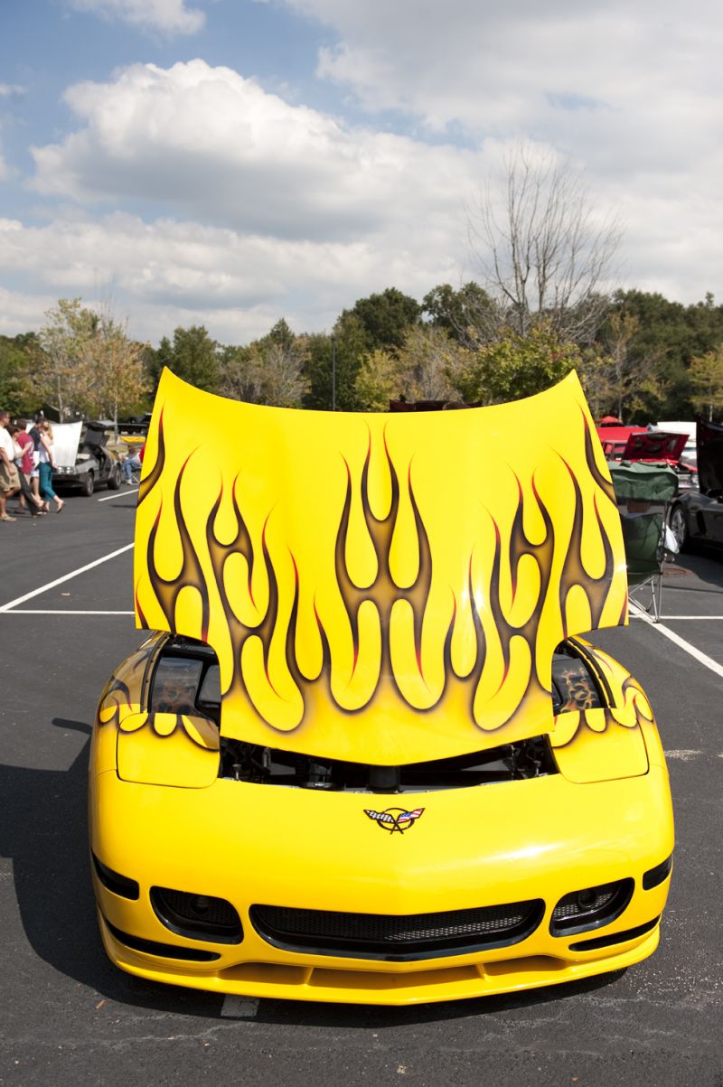 There were many eye-catching paint jobs at the Auto Expo.