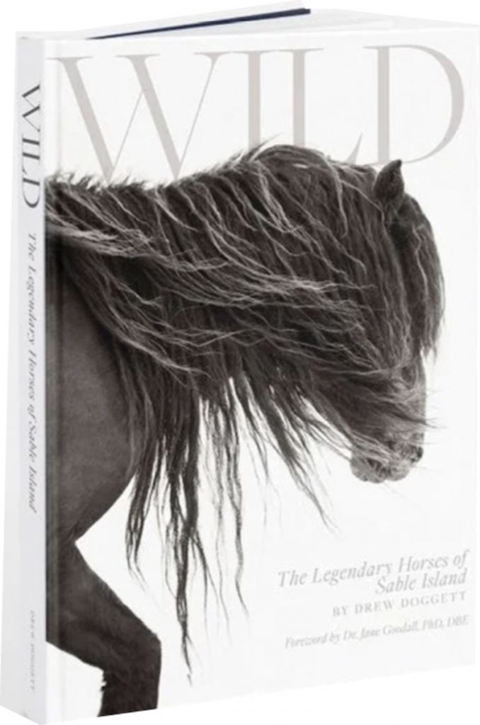 <em>The dust jacket of Drew Doggett’s latest book, </em>Wild: The Legendary Horses of Sable Island