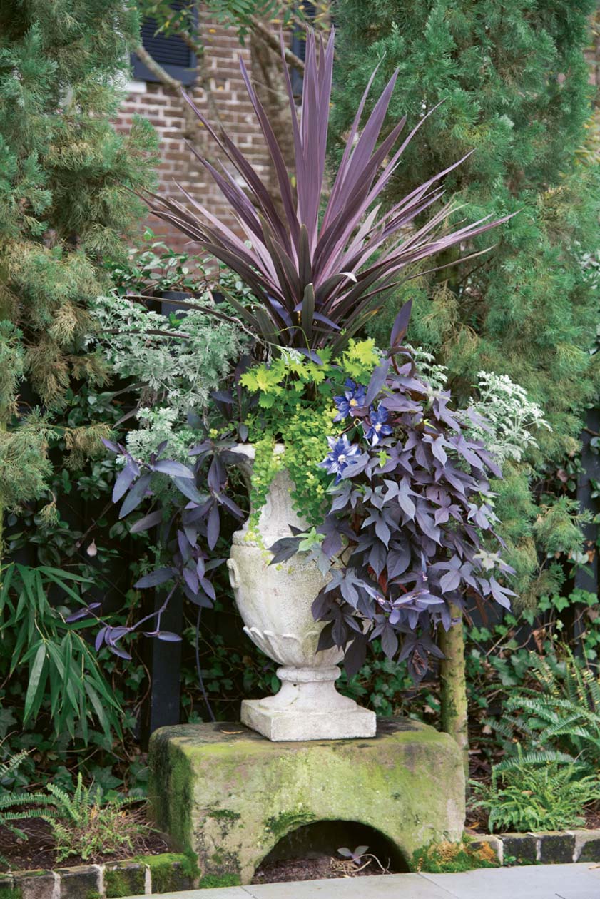 A Step Up: For a striking focal point, Susan fills an urn with foliage in shades of burgundy, purple, and chartreuse. Last year, she allowed one bloom—that of purple passionflower—to sneak into the planter, which is displayed on a centuries-old carriage step (or “upping stone”) they found buried by weeds.