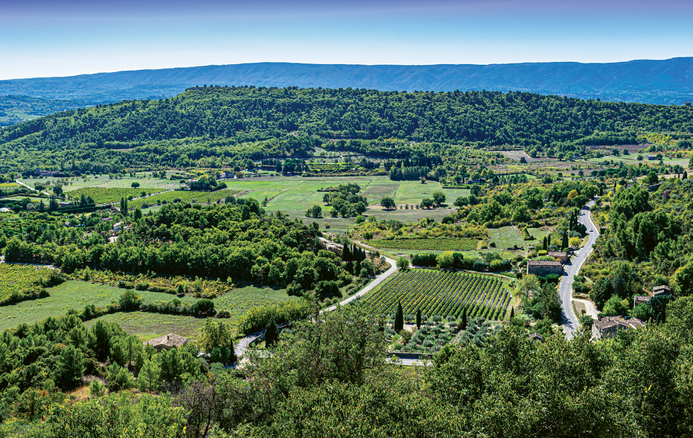 Vineyards, olive groves, and cypress trees were as far as the eye could see in the Luberon.