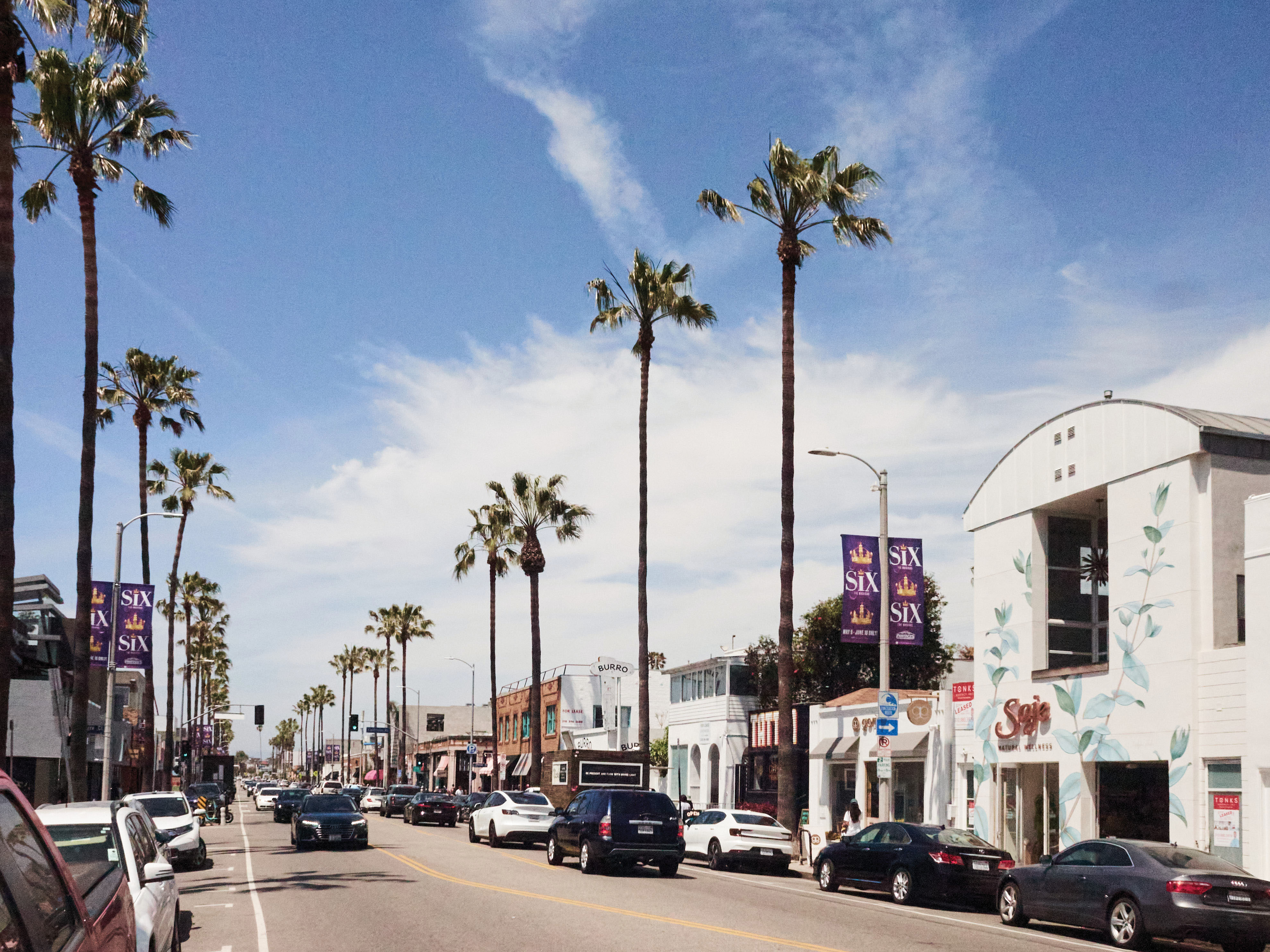 A lineup of shops and palms along busy Abbott Kinney Boulevard in Venice Beach.